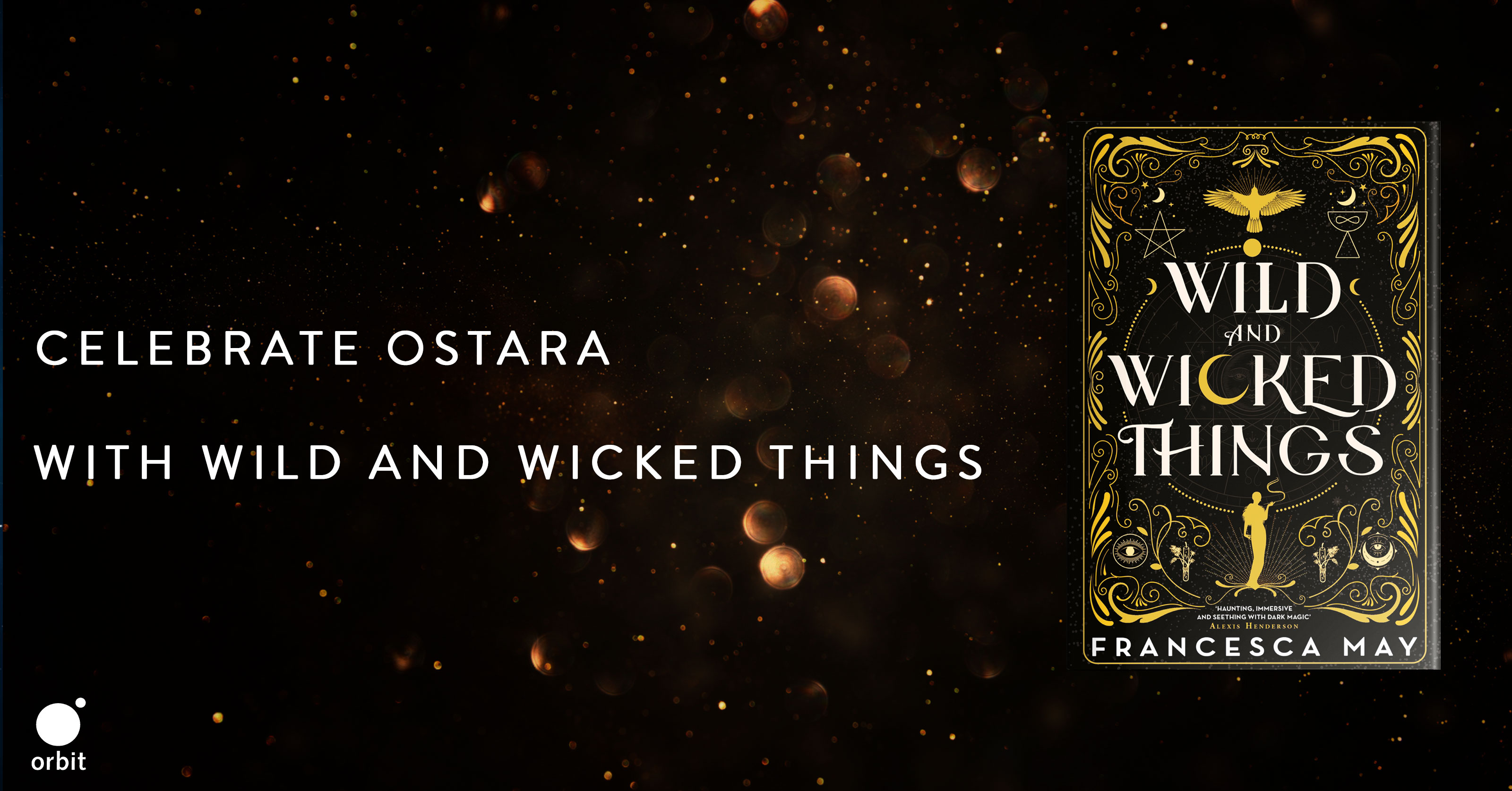 A short extract from Wild and Wicked Things | Hachette UK